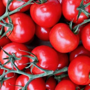 organic vine tomatoes 500g