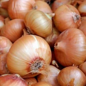 organic yellow onions - 1kg