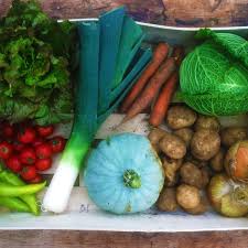 Weekly Veg Box Subscription - collection or local delivery only