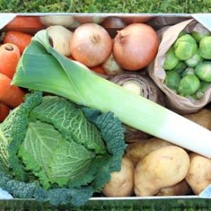honey tree organic veg box - seasonal box - available for delivery or collection